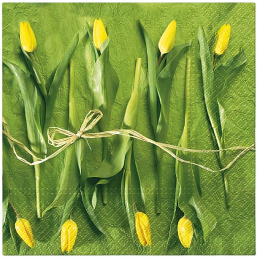 PAW DECOR COLLECTION Serwetki z bibuły 3-warstwowej Świeże Tulipany 20 szt.