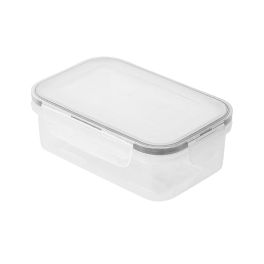 ALTOM DESIGN POJEMNIK Z POKRYWKĄ PROSTOKĄTNY 045L 15X10X55CM